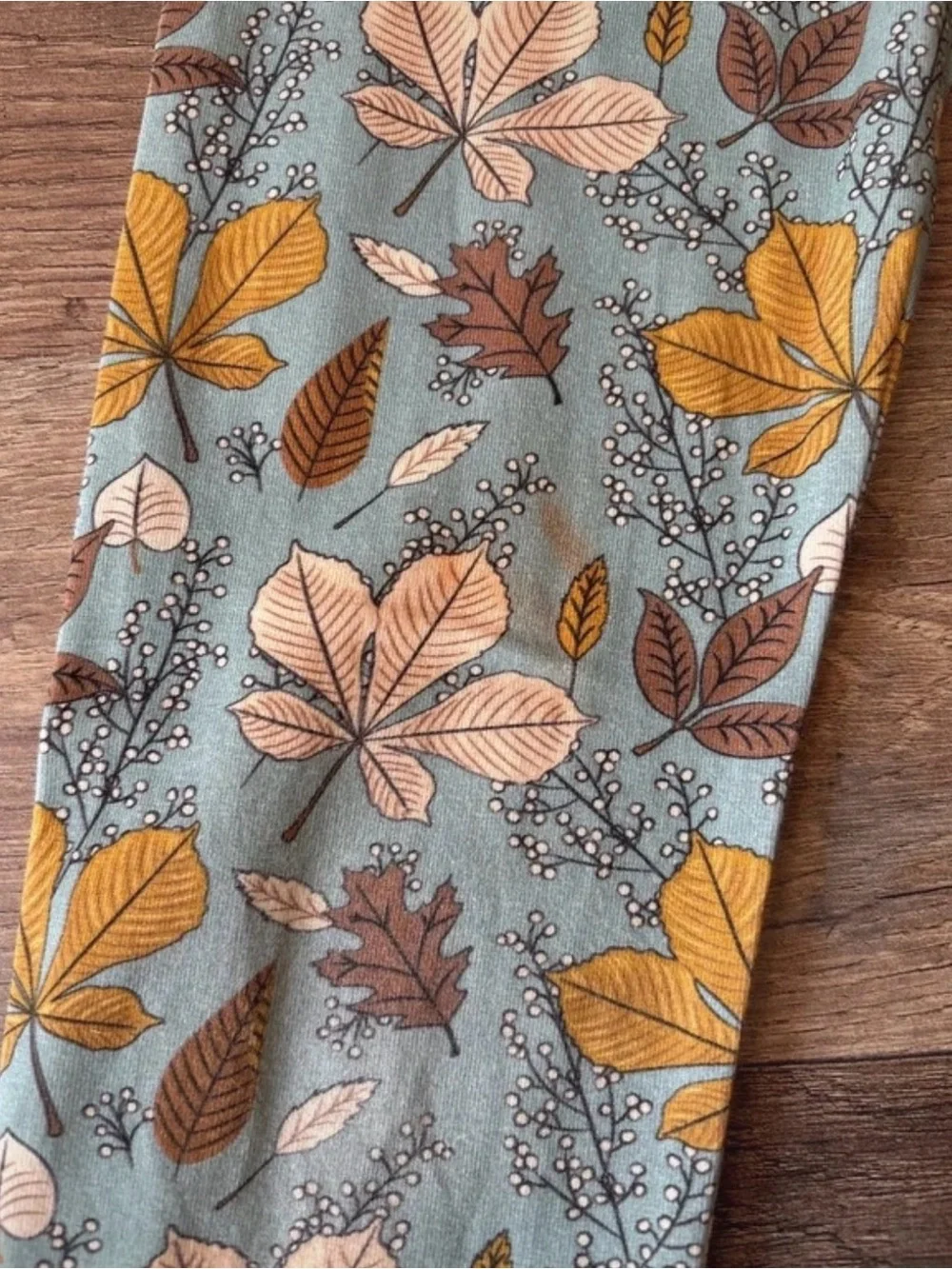 Merce and Me Fall Leaves and Brown Polka Dot Clothing bundle of 4 size 6